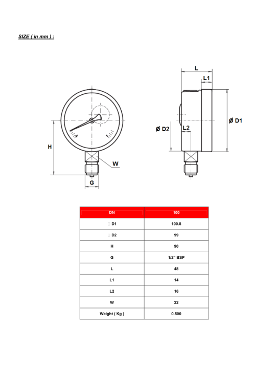 Manometer G 1/2″ – RADIAL Ø100