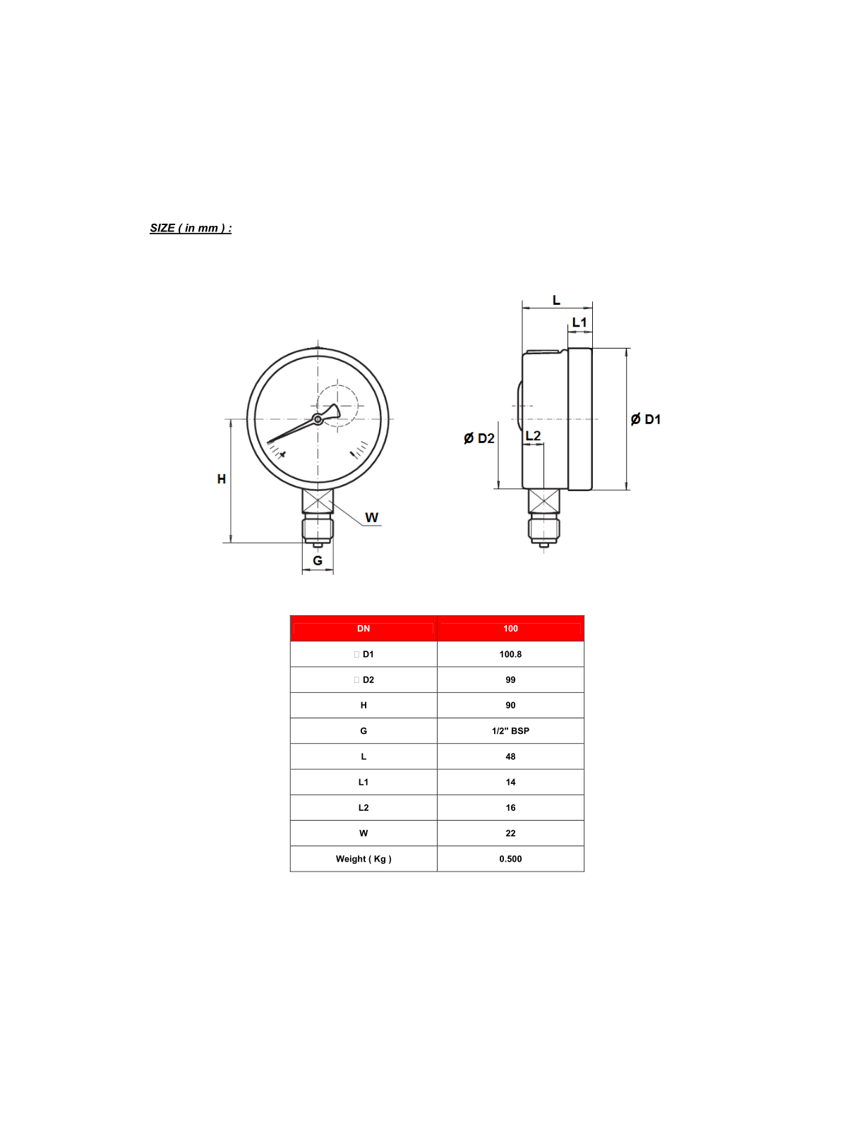 Manometer G 1/2″ – RADIAL Ø100