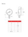 Manometer G 1/2″ – RADIAL Ø100